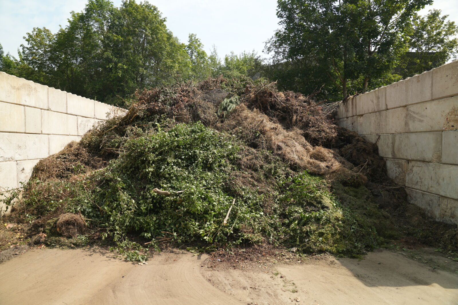 Wohin mit all dem Grüngut? Die Antwort ist einfach: Brings zu uns! Bei der Strobl GmbH in Amberg kannst du dein Grüngut schnell, unkompliziert und umweltfreundlich entsorgen – oder dir gleich einen Container dafür bestellen.